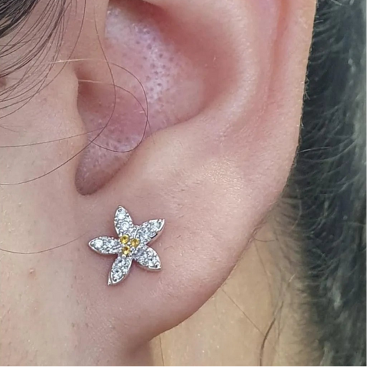 Brinco Flor com Pedras de Zircôrnias Brancas e Amarelas Prata 925